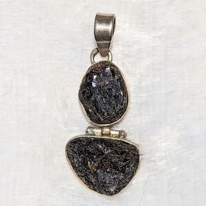 Petrified Wood 925 Silver Pendant Necklace